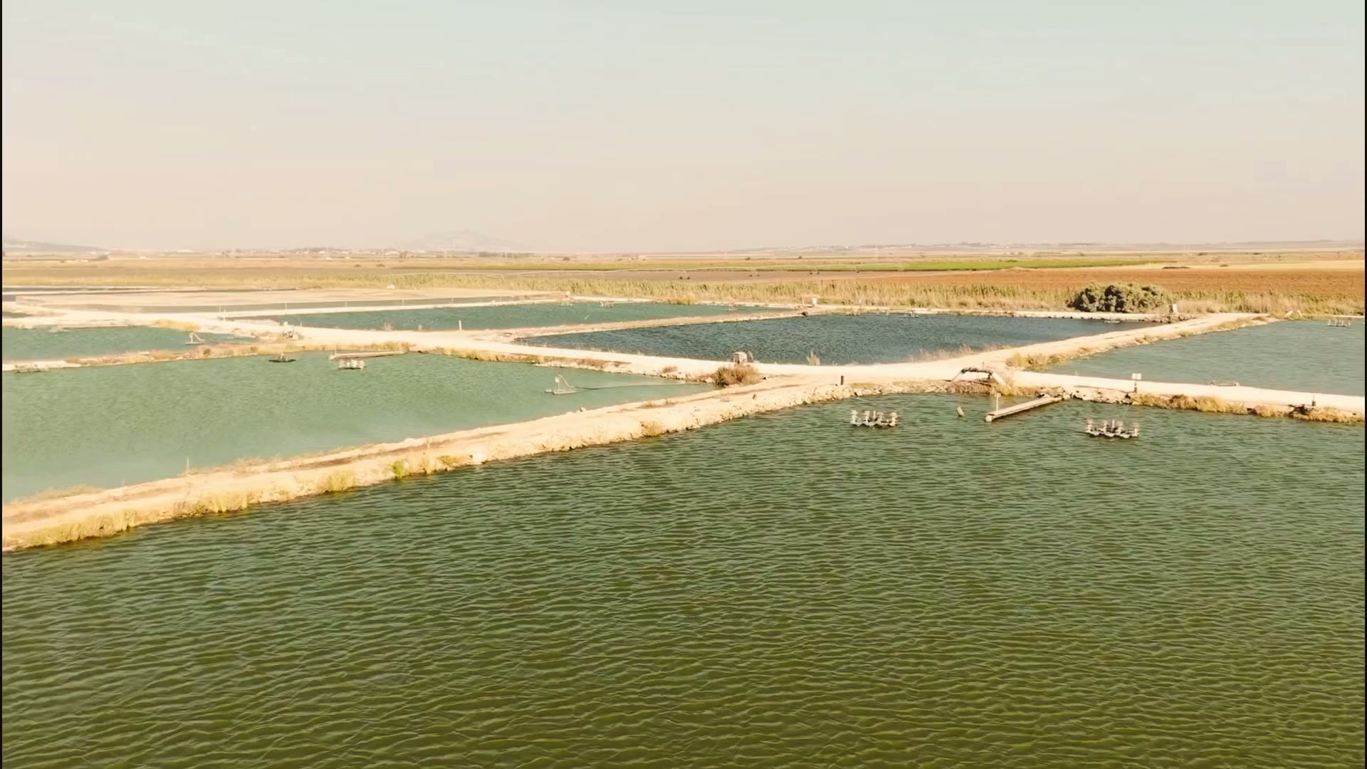 DRONE PHOTOGRAPHY